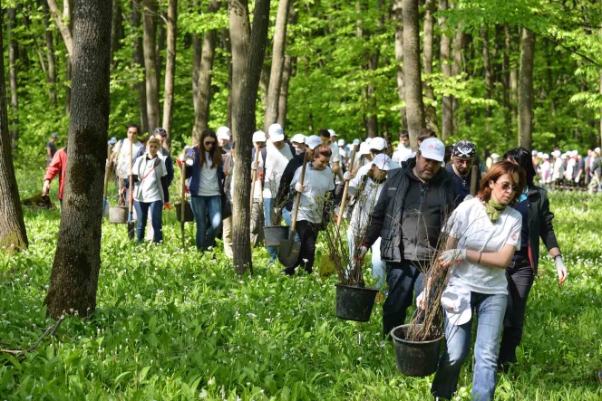 Inca 9.000 de Mega Copaci plantati de Enel si MaiMultVerde in Parcul Natural Comana