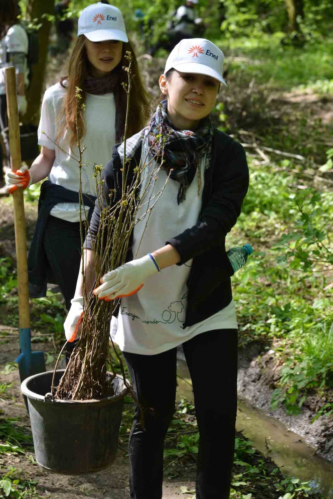 Inca 9.000 de Mega Copaci plantati de Enel si MaiMultVerde in Parcul Natural Comana