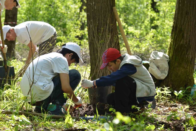 Inca 9.000 de Mega Copaci plantati de Enel si MaiMultVerde in Parcul Natural Comana