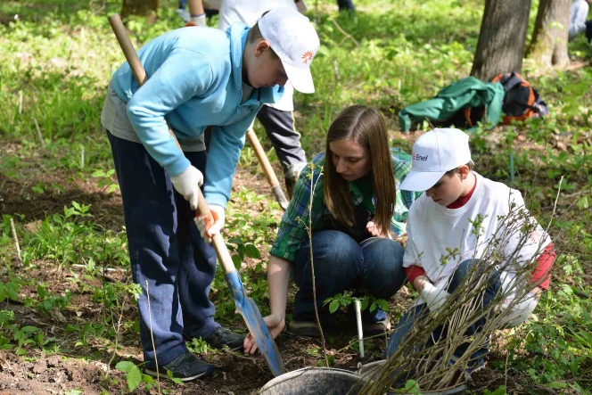 Inca 9.000 de Mega Copaci plantati de Enel si MaiMultVerde in Parcul Natural Comana