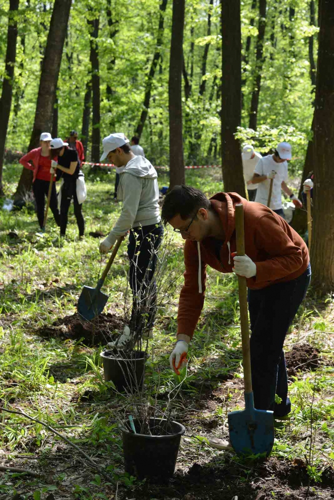 Inca 9.000 de Mega Copaci plantati de Enel si MaiMultVerde in Parcul Natural Comana