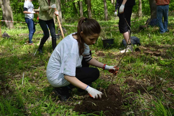 Inca 9.000 de Mega Copaci plantati de Enel si MaiMultVerde in Parcul Natural Comana