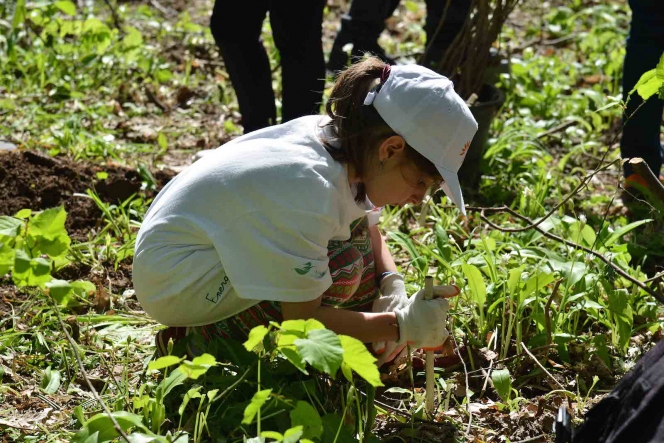 Inca 9.000 de Mega Copaci plantati de Enel si MaiMultVerde in Parcul Natural Comana