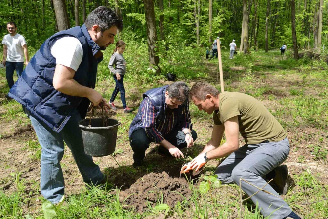 Inca 9.000 de Mega Copaci plantati de Enel si MaiMultVerde in Parcul Natural Comana