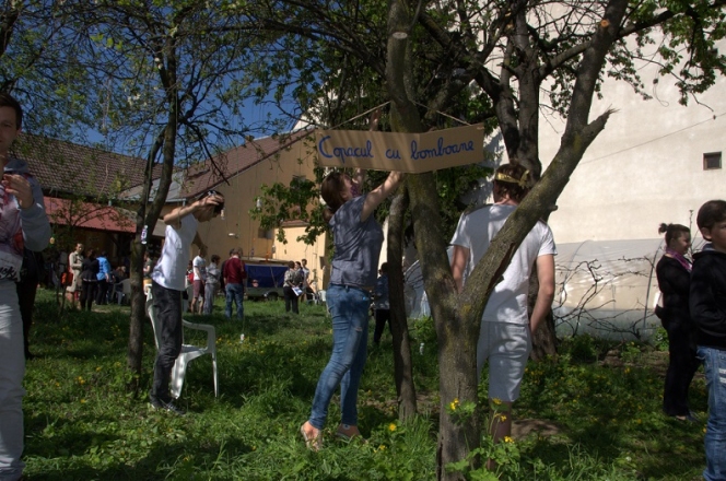 Zeci de satmareni la "Ziua Portilor Deschise" la Asociatia Stea