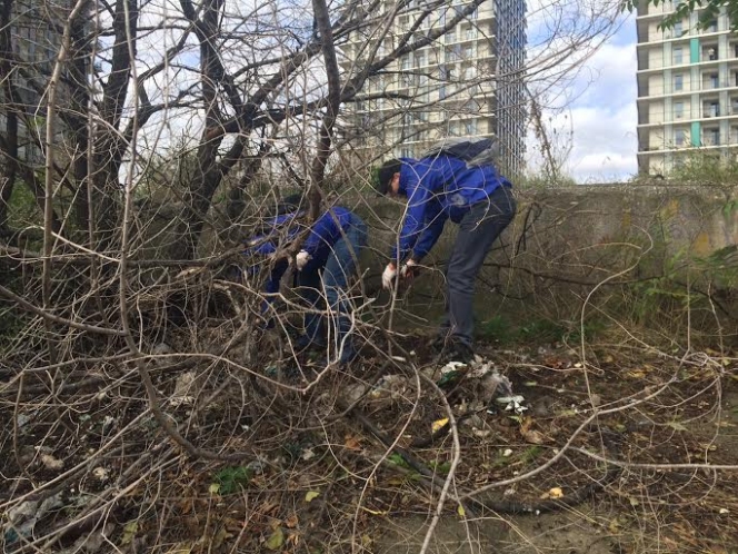 Peste 200 de voluntari "Let's Do It, Romania!" au curatat in weekend Parcul Natural Vacaresti