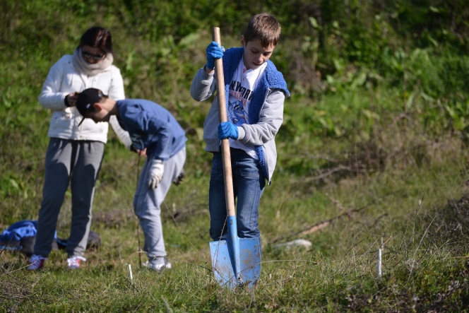 7.000 de puieti de salcam au fost plantati la Videle de voluntarii Asociatiei MaiMultVerde si companiile partenere