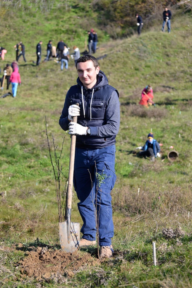 7.000 de puieti de salcam au fost plantati la Videle de voluntarii Asociatiei MaiMultVerde si companiile partenere