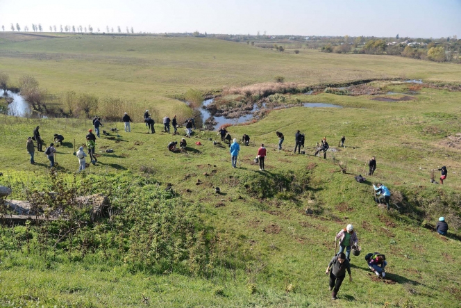 7.000 de puieti de salcam au fost plantati la Videle de voluntarii Asociatiei MaiMultVerde si companiile partenere