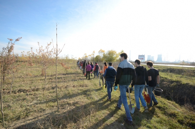 Angajatii si voluntarii Telekom au plantat peste 50.000 de copaci prin programele sustinute de companie in ultimii 7 ani