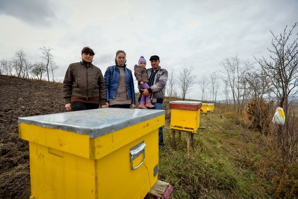 Studiu de caz: Apicultura si dezvoltarea economica in mediul rural // Premiul I Dezvoltare economica si sociala // GSC 2015