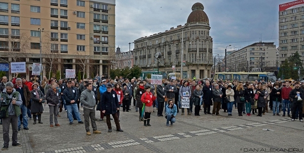 Studiu de caz: Iasiul iubeste teii // Premiul pentru Impact // GSC 2015