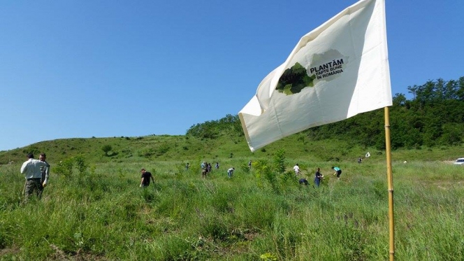 Plantam fapte bune in Romania in luna padurii