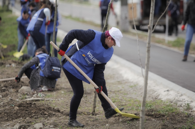 Peste 100 de voluntari si angajati OMV Petrom si-au unit fortele intr-o actiune de plantare din judetul Prahova