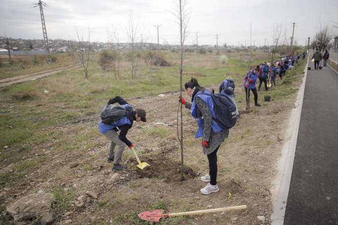 Peste 100 de voluntari si angajati OMV Petrom si-au unit fortele intr-o actiune de plantare din judetul Prahova