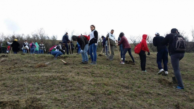 Patru judete au fost loc de intalnire pentru voluntari