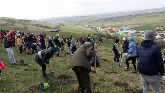 Patru judete au fost loc de intalnire pentru voluntari