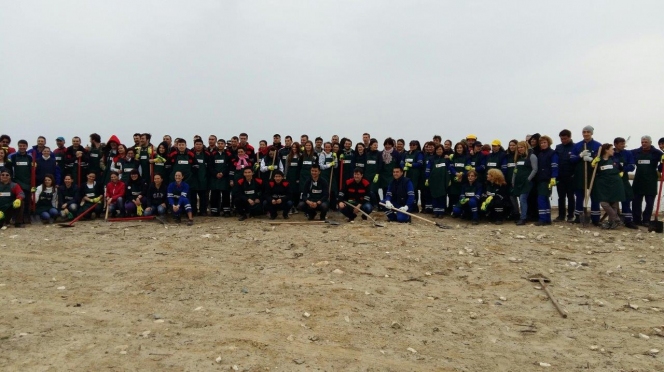 Voluntariat al angajatilor KMG International: 2200 de copaci plantati in judetul Constanta