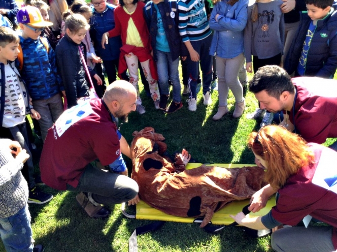 Romania are nevoie de cursuri de prim ajutor pentru animalele de companie