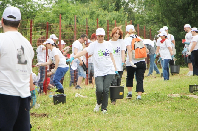 650 de voluntari au renovat Centrul socio-medical HOSPICE Casa Sperantei de la Adunatii-Copaceni