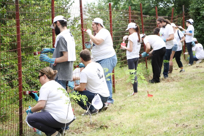 650 de voluntari au renovat Centrul socio-medical HOSPICE Casa Sperantei de la Adunatii-Copaceni