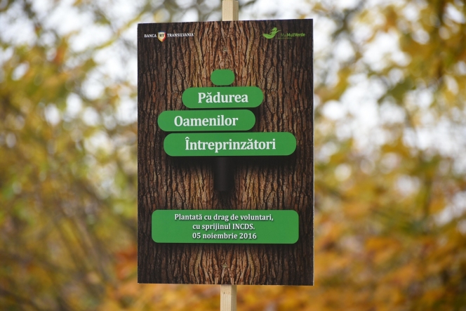 Din 5 noiembrie 2016, în Bărăgan - Jegălia crește „Pădurea oamenilor întreprizători”, plantată de voluntari ai Asociaţiei MaiMultVerde, cu sprijinul Băncii Transilvania