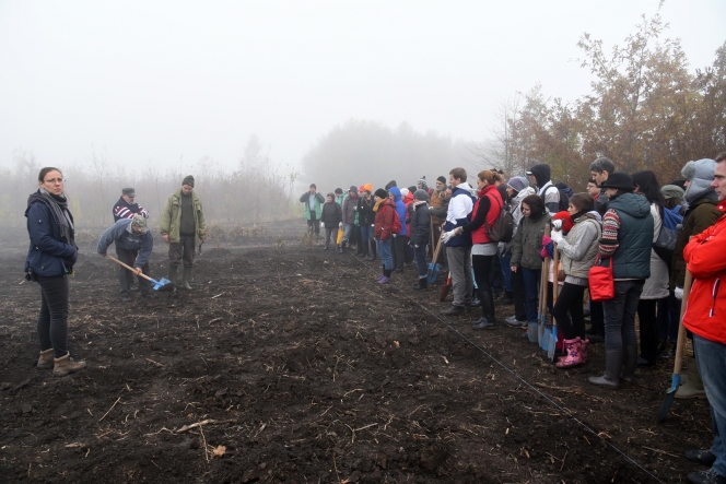 Din 5 noiembrie 2016, în Bărăgan - Jegălia crește „Pădurea oamenilor întreprizători”, plantată de voluntari ai Asociaţiei MaiMultVerde, cu sprijinul Băncii Transilvania