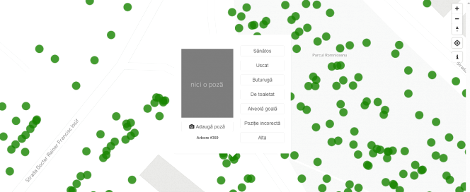 Iniţiativă cetăţenească - Prima aplicaţie digitală privind gestionarea spaţiul verde se lansează în Bucureşti: Copacul Incotroceni