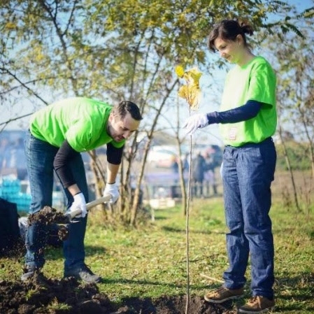 19 noiembrie – Despre puieţi, voluntari şi fapte bune