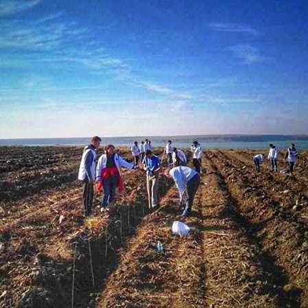 19 noiembrie – Despre puieţi, voluntari şi fapte bune