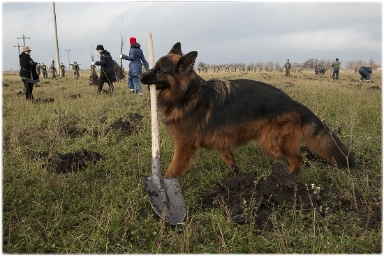 19 noiembrie: zi cu soare, cu plantare, ideală pentru mobilizare