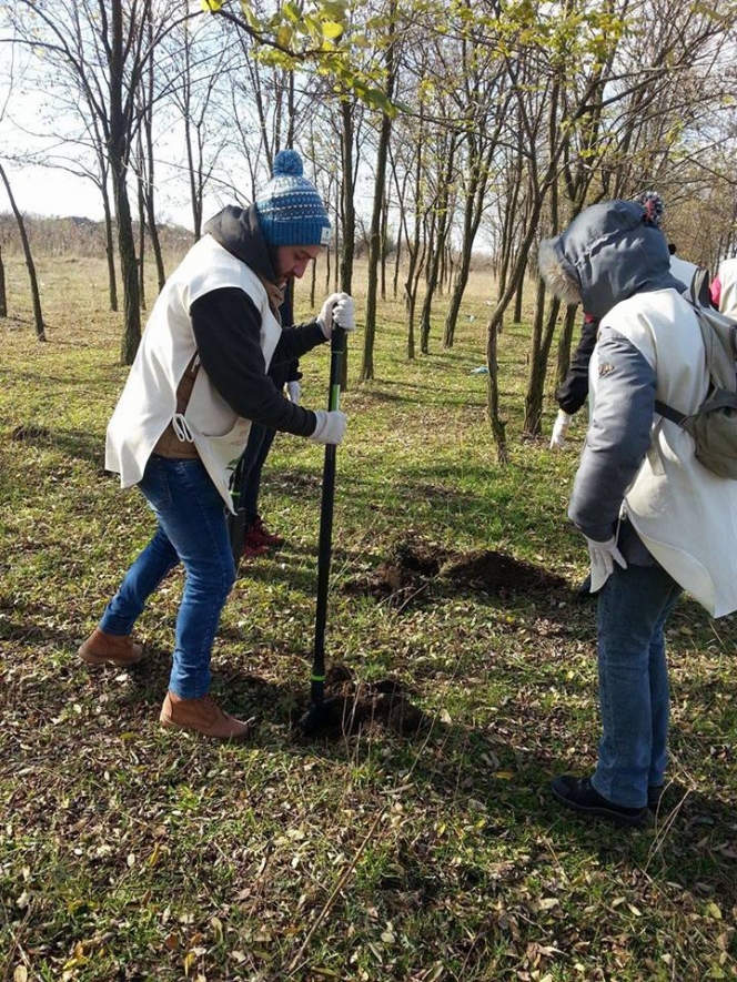 6.300 de puieti plantati de ViitorPlus prin activitati de voluntariat