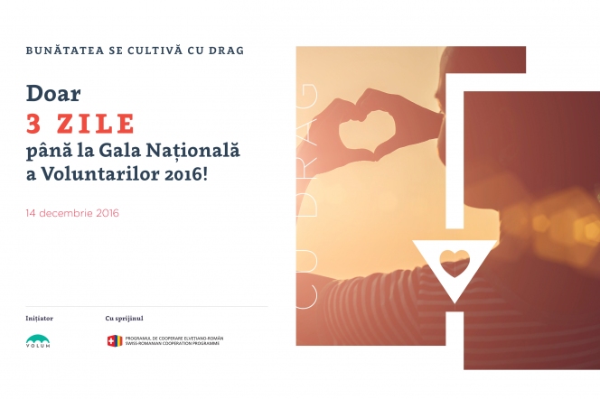 Bunătatea se cultivă cu drag la Gala Națională a Voluntarilor 2016