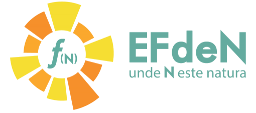 EFdeN - Team Bucharest 2018, proiectul câştigător la competiţia de proiecte lansată de Image Factory