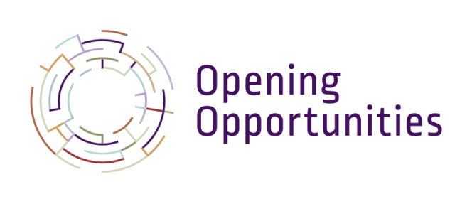 2000 de liceeni pasionați de IT din România construiesc proiecte tehnice prin programul Opening Opportunities