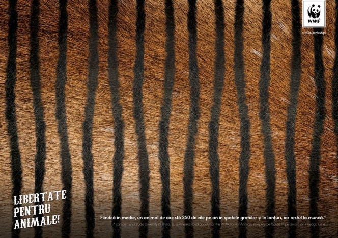 Libertate pentru animale! // WWF România & Friends TBWA