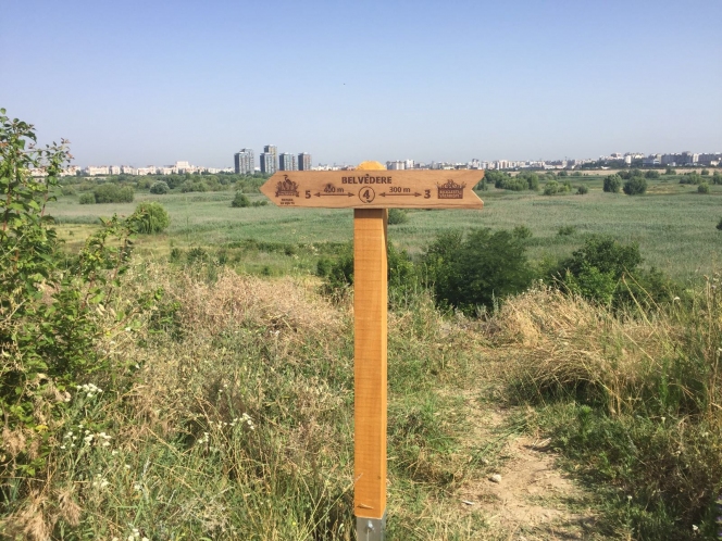 Biciclești în Văcărești: primul traseu de cicloturism inaugurat în Parcul Natural Văcărești