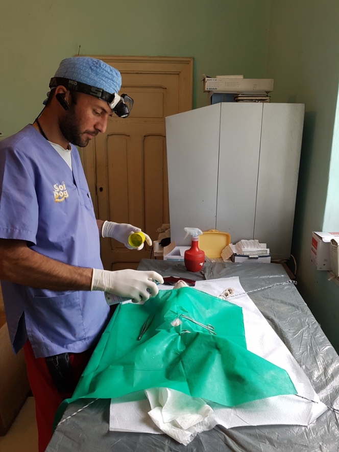 Organizaţia EDUXANIMA şi FNPA organizează o campanie de sterilizare gratuită în Argeş