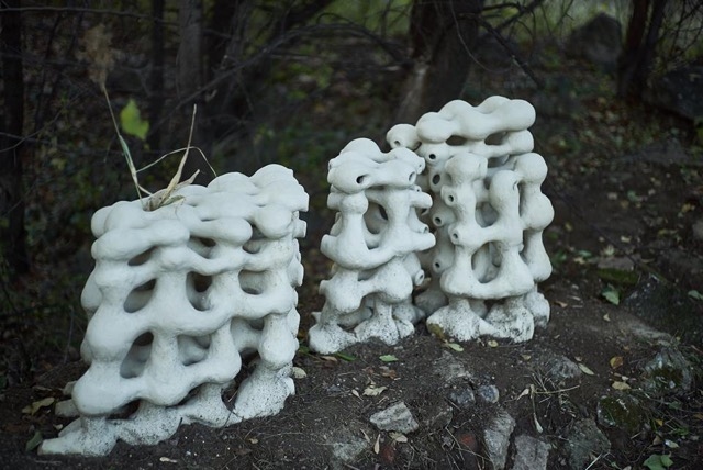 Obiecte de ceramică și sculptură au devenit habitate pentru speciile din  Parcul Natural Văcărești
