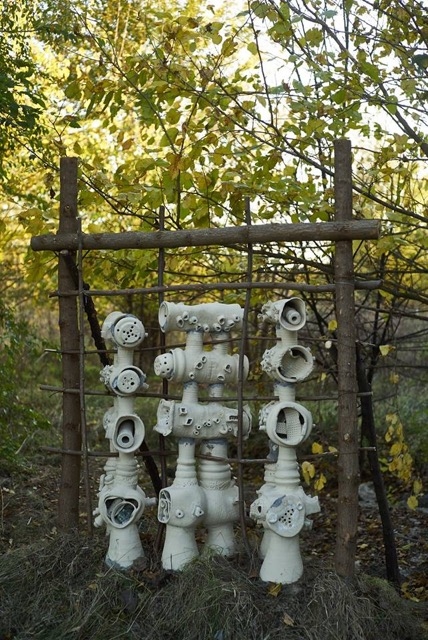 Obiecte de ceramică și sculptură au devenit habitate pentru speciile din  Parcul Natural Văcărești