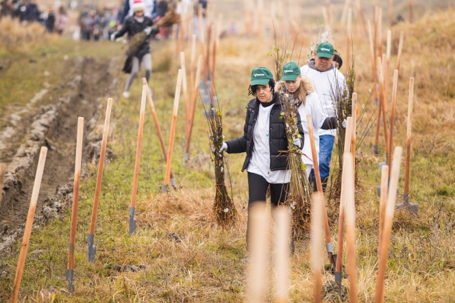 26 de hectare de teren degradabil vor deveni păduri