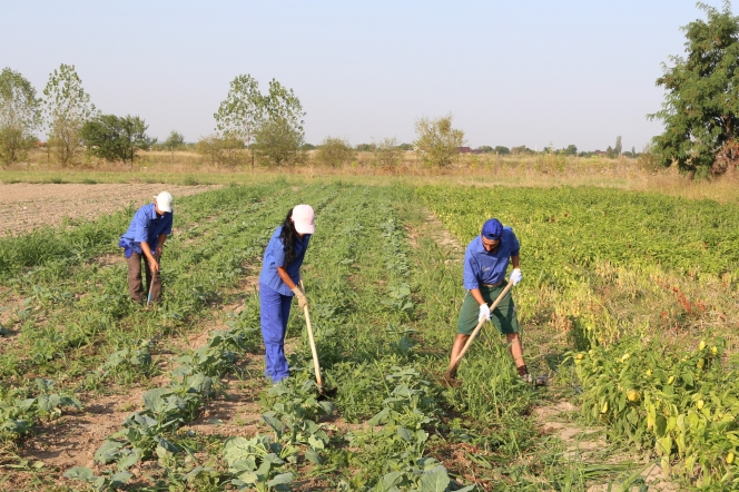 Tineri defavorizați susținuți de CONCORDIA Agricultură