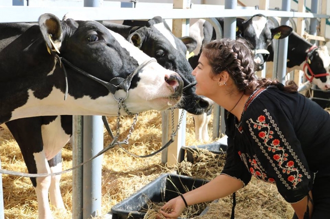 Agricultura, asul din mânecă sau călcâiul lui Ahile al României?