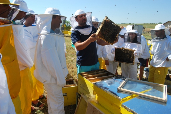 Liceele agricole – promisiunea unui viitor prosper pentru tinerii români la început de carieră