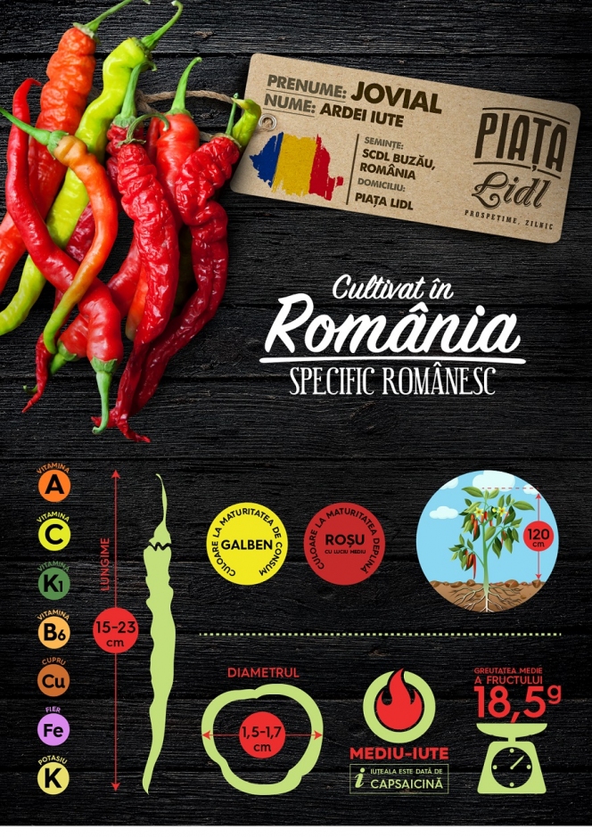 Gustul legumelor de altă dată ajunge în comerțul modern prin proiectul ”Cultivat în România, specific românesc”