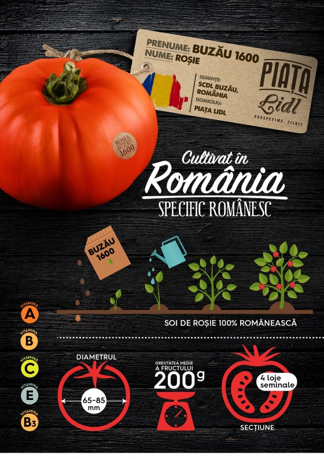 Gustul legumelor de altă dată ajunge în comerțul modern prin proiectul ”Cultivat în România, specific românesc”