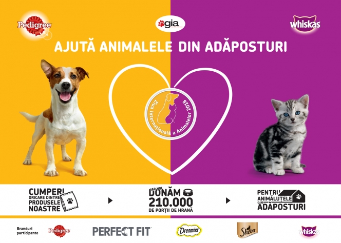 Ajută animalele din adăposturi! // Campanie de responsabilitate socială organizată de MARS România