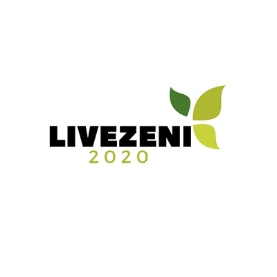Schimb de experiență la Bistrița inițiat în cadrul proiectului Livezeni 2020