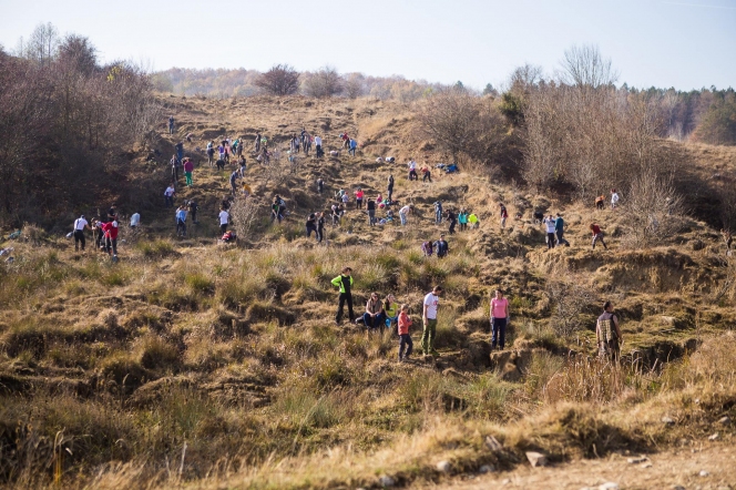 3,000 de voluntari au devenit plantatori de fapte bune în 2018