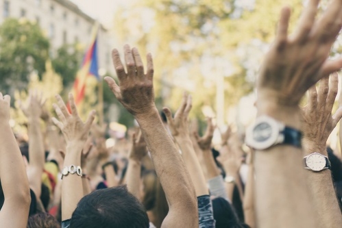 GIC Lacul Tei organizează un protest pentru salvarea lacului din Parcul Circului sâmbătă // 11 mai  // ora 11:00